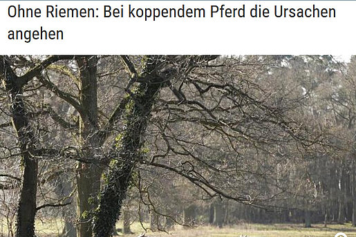 Volksfreund.de, 28. Januar 2016