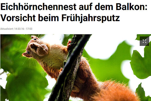 TZ, 14. März 2016
