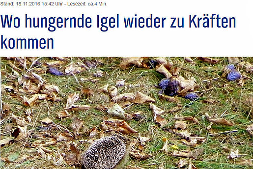 NDR, 18.11.16