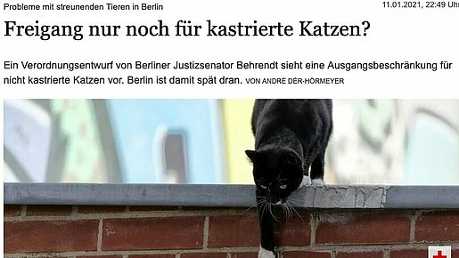 Tagesspiegel | Freigang nur noch für kastrierte Katzen?