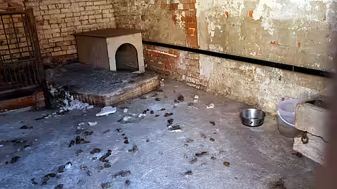 Otto hatte in seinem Gefängnis resigniert. Otto hatte in seinem Gefängnis resigniert.