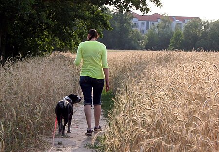 Gemeinsam etwas erleben und entdecken stärkt die Mensch-Tier-Beziehung. 