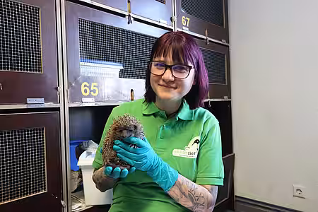Anne Flieger aus dem Igelzentrum kümmerte sich um den verletzten Igel.