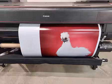 Fotodruck