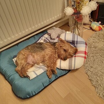 „endlich fertig mit der Arbeit“