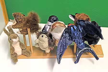 Eröffnung des Tierschutzzimmers in der Zinnowwald Grundschule in Berlin Zehlendorf Ein Holzständer mit verschiedenen Tier-Plüschfiguren.