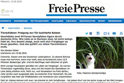 Freie Presse, 13. Juni 2016