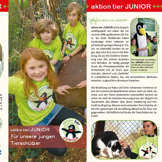 aktion tier Flyer JUNIOR 