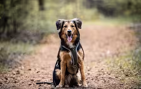 Lea 8 Wochen nach ihrer OP