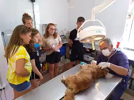 Spannende Einblicke in die Arbeit des Tierarztes.