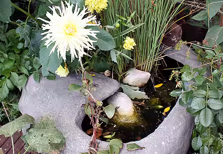 Kleines Wasserbecken