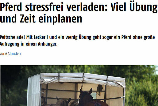 Frankfurter Rundschau: "Pferd stressfrei verladen: Viel Übung und Zeit einplanen"