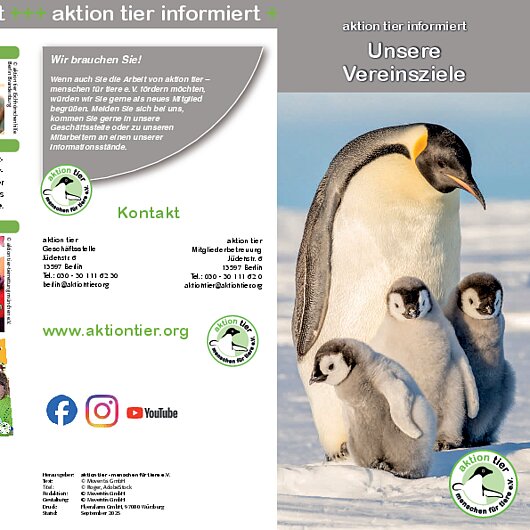 Unsere Vereinsziele <br/> aktion tier stellt sich vor