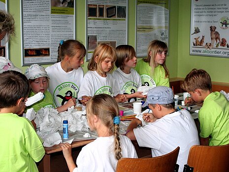 Tierschutzzimmer aktion tier Tierschutzzentrum Meißen