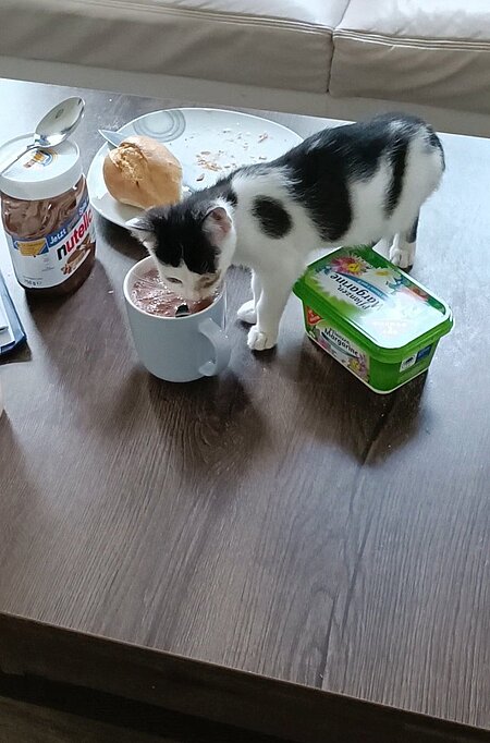 Pia auf Pflegestelle