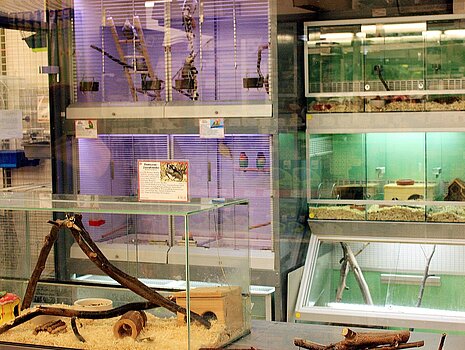 Gestapelte Käfige und Terrarien in einem Zooladen. Gestapelte Käfige und Terrarien in einem Zooladen.