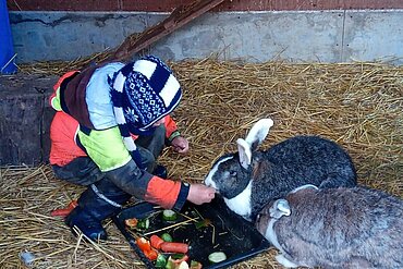 Besucherkind beim füttern der Kaninchen