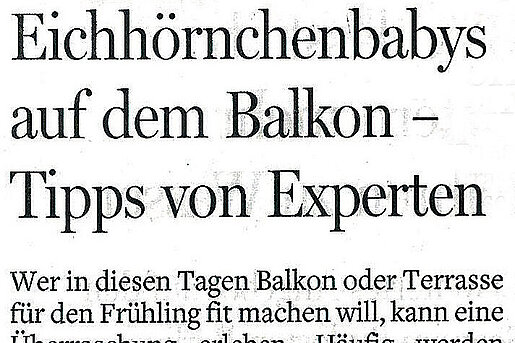 Berliner Morgenpost, 23. März 2016