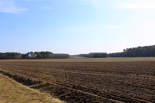 Monotone Agrarlandschaft: kein Lebensraum für Igel Monotone Agrarlandschaft: kein Lebensraum für Igel