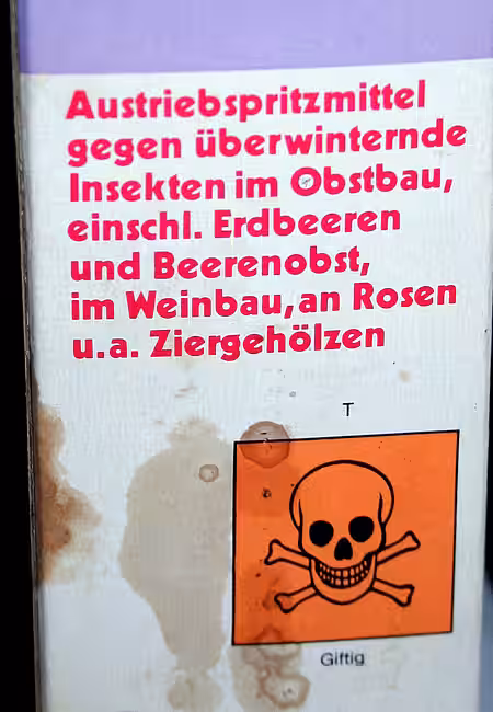 Ein absolutes No-Go im Naturgarten 