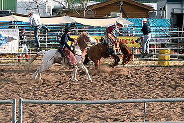 Rodeo in Deutschland 