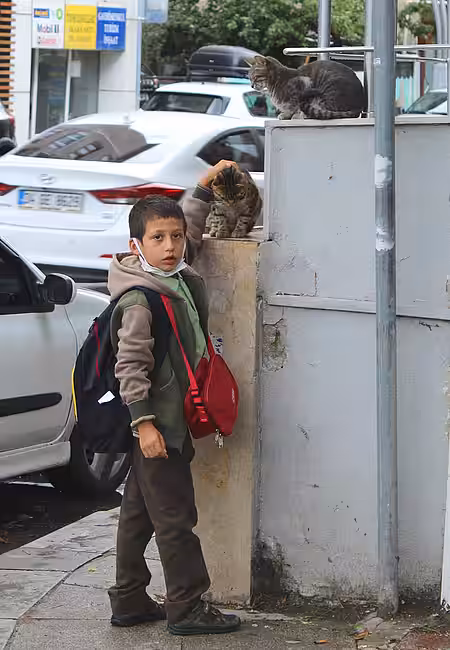 Junge streichelt eine Straßenkatze