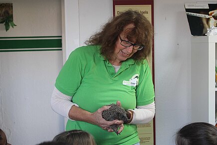 Dipl.- Biologin Birgit Busch erklärt den Kindern, was Igel brauchen, um glückliche Wildtiere zu sein. Dipl.- Biologin Birgit Busch erklärt den Kindern, was Igel brauchen, um glückliche Wildtiere zu sein.