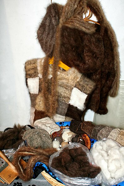 Wolle und Stricksachen aus Haaren der Hunderassen Eurasier und Chow-Chow.