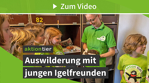 Auswilderung mit jungen Igelfreunden (aktion tier Igelzentrum Niedersachsen)