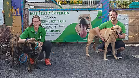Hanna Fleischhauer und Jonas Scheuer, Mitarbeiter von aktion tier, zu Besuch im Tierheim auf Teneriffa.