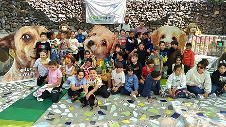 Jedes Jahr kommen zahlreiche Schulklassen ins Tierheim, um mehr über den Umgang mit Hunden zu lernen.
