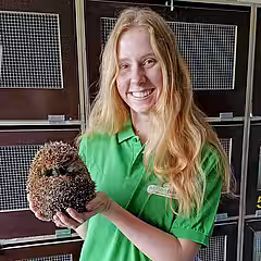 Foto von Yvonne Meyer aus dem Igelzentrum Laatzen