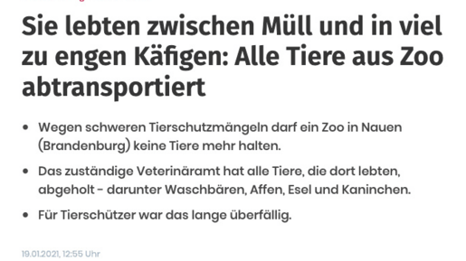 Sie lebten zwischen Müll und in viel zu engen Käfigen: Alle Tiere aus Zoo abtransportiert – Redaktionsnetzwerk Deutschland