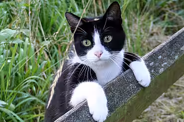 Vorsorge ist besser als Nachsorge!