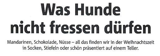 24.12.2024 | Recklinghäuser Zeitung | Was Hunde nicht fressen dürfen