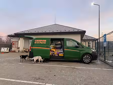 Transporter im ukrainischen Tierheim