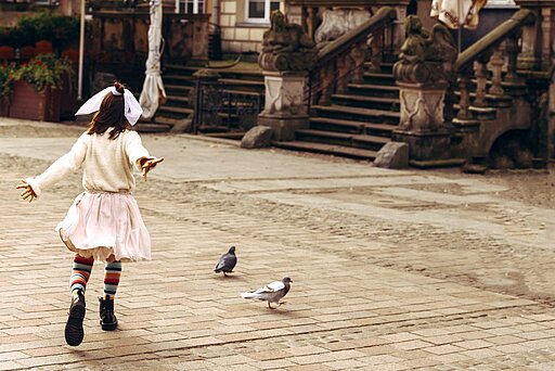 Tauben jagen muss nicht sein. 