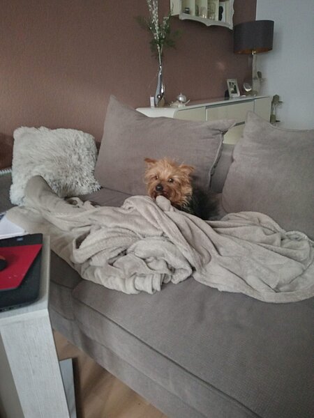 „Couch neu organisieren“