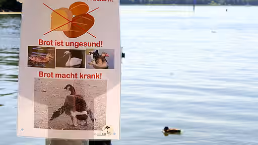 Unsere Infotafeln wurden leider schnell zerstört.