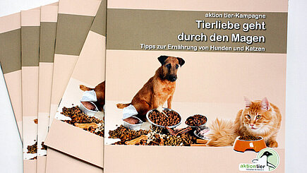 Broschüre "Tierliebe geht durch den Magen"