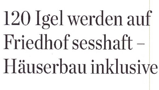 25.05. 2021 | Hamburger Abendblatt | 120 Igel werden auf Friedhof sesshaft