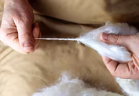 Aus der gekämmten Rohseide werden stabile Fäden gesponnen.