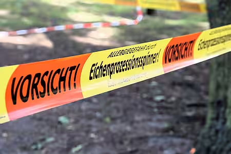 Meist reagieren Behörden schnell, wenn Raupennester gemeldet werden. Absperrband mit dem Text "Eichenprozessionsspinner"