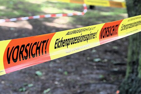 Absperrband mit dem Text "Eichenprozessionsspinner"