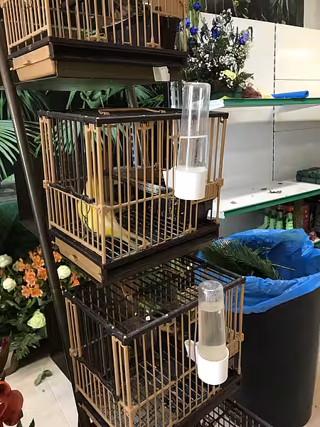 Manche Zoohandlungen, vor allem im Ausland, verkaufen unsäglich kleine Vogelkäfige