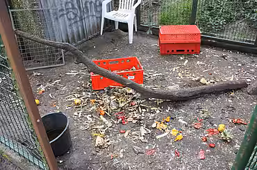 Unzumutbaren Haltungsbedingungen 