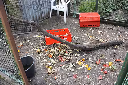 Unzumutbaren Haltungsbedingungen Unzumutbaren Haltungsbedingungen