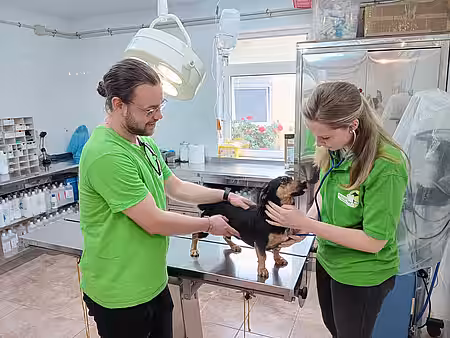 Hanna und Jonas helfen im Tierarztzimmer bei der Untersuchung von „Clyde“.