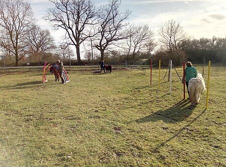 Kinder mit den Ponys auf unserem selbst gebauten Pferdeparcours. 