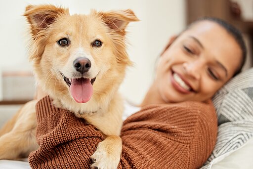 In vertrauter und entspannter Umgebung zeigen Hunde ihr Wohlbefinden.